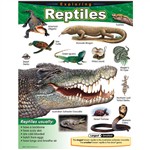 Chart Exploring Reptiles Grades 1-5 By Trend Enterprises