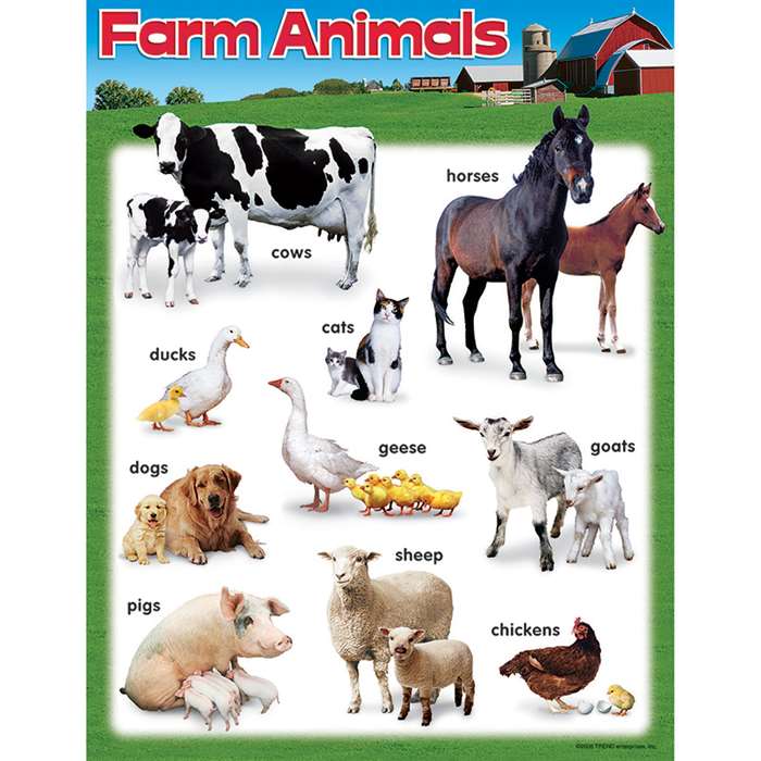 Learning Chart Farm Animals By Trend Enterprises