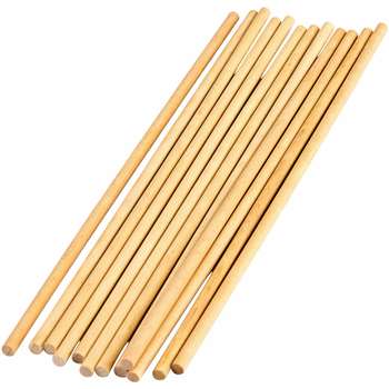 Stem Basics 1/4&quot; Wood Dowels 12 Ct, TCR20927