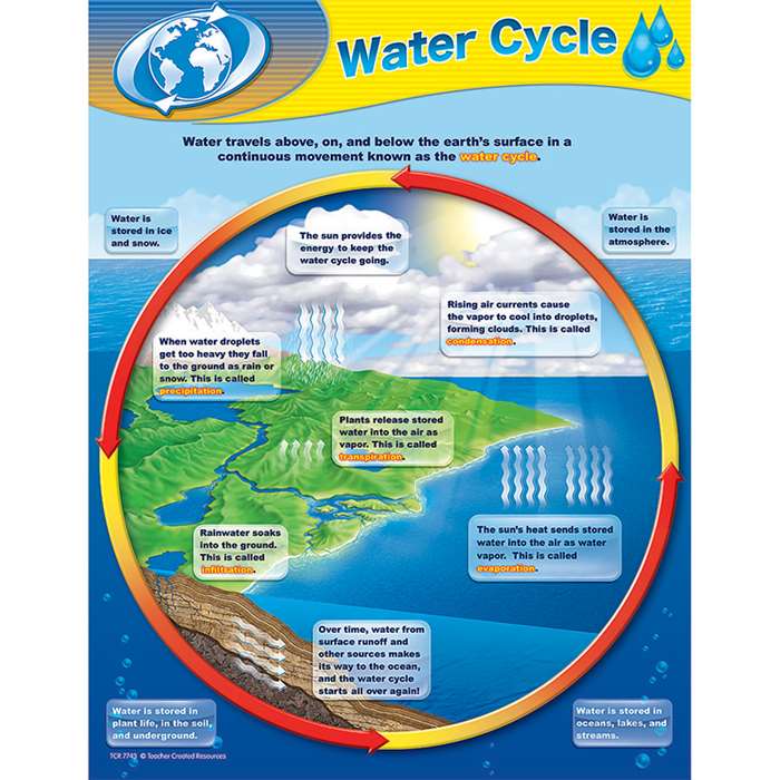 Water Cycle Chart By Teacher Created Resources