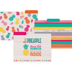 Tropical Punch File Folders, TCR8538