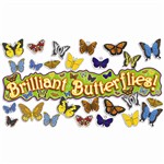 3-D Butterflies Bulletin Board, TF-3112