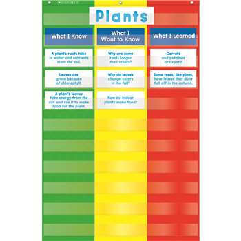 3 Column Chart Pocket Chart By Teachers Friend