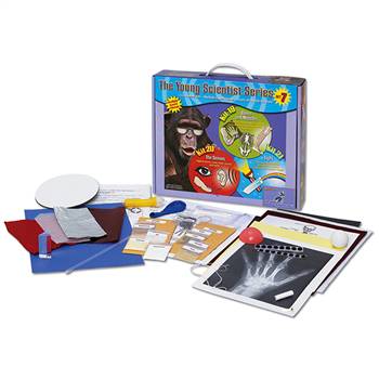 Experiment Kit Bones And Muscles The Senses Light, YS-WH9251107