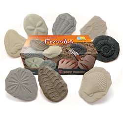 Play And Explore Fossils, YUS1041