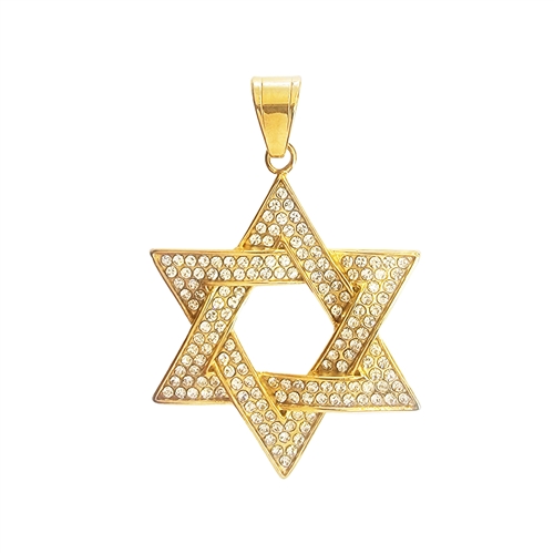 STAINLESS STEEL  PENDANT / SP 113