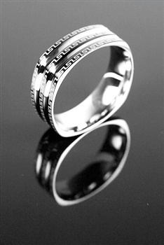 STAINLESS STEEL RING / SSR 200