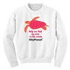 Sweatshirt with Pink /orange Turtle design