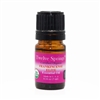 Certified Organic Frankincense Elite Essential Oil