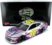 2020 Jimmie Johnson #48 Ally Phoenix Finale 1/24 HOTO Elite  (Non-Raced)