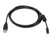 WholesaleCables.com 6ft A to Mini-B 8pin USB Cable for Pentax Panasonic Nikon Digital Camera 2735