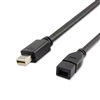 WholesaleCables.com 10H1-66206 6ft Mini DisplayPort Video Extension Cable, male to female