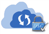 DSC Cloud Files Backup Annual 1 Computer - 100GB