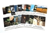 Near Mint Hasselblad Set of 18 Photography Guides #P4772