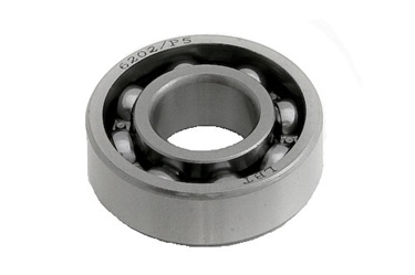 6202 Bearing