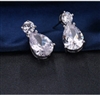 AAA White Cubic Zircon Tow Tone Classic Earrings