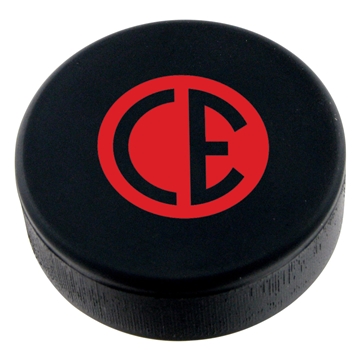 Equinunk Hockey Puck