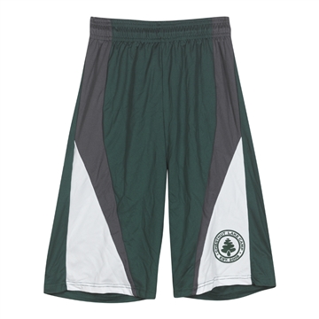 Game Gear Basketball Shorts