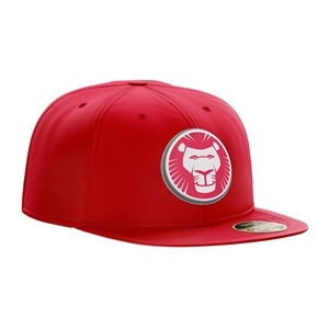 3D Logo Snapback