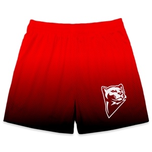 Athletic Camper Boys Mesh Shorts