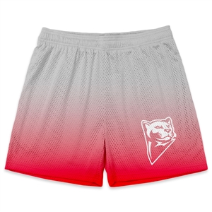 Athletic Camper Boys Mesh Shorts