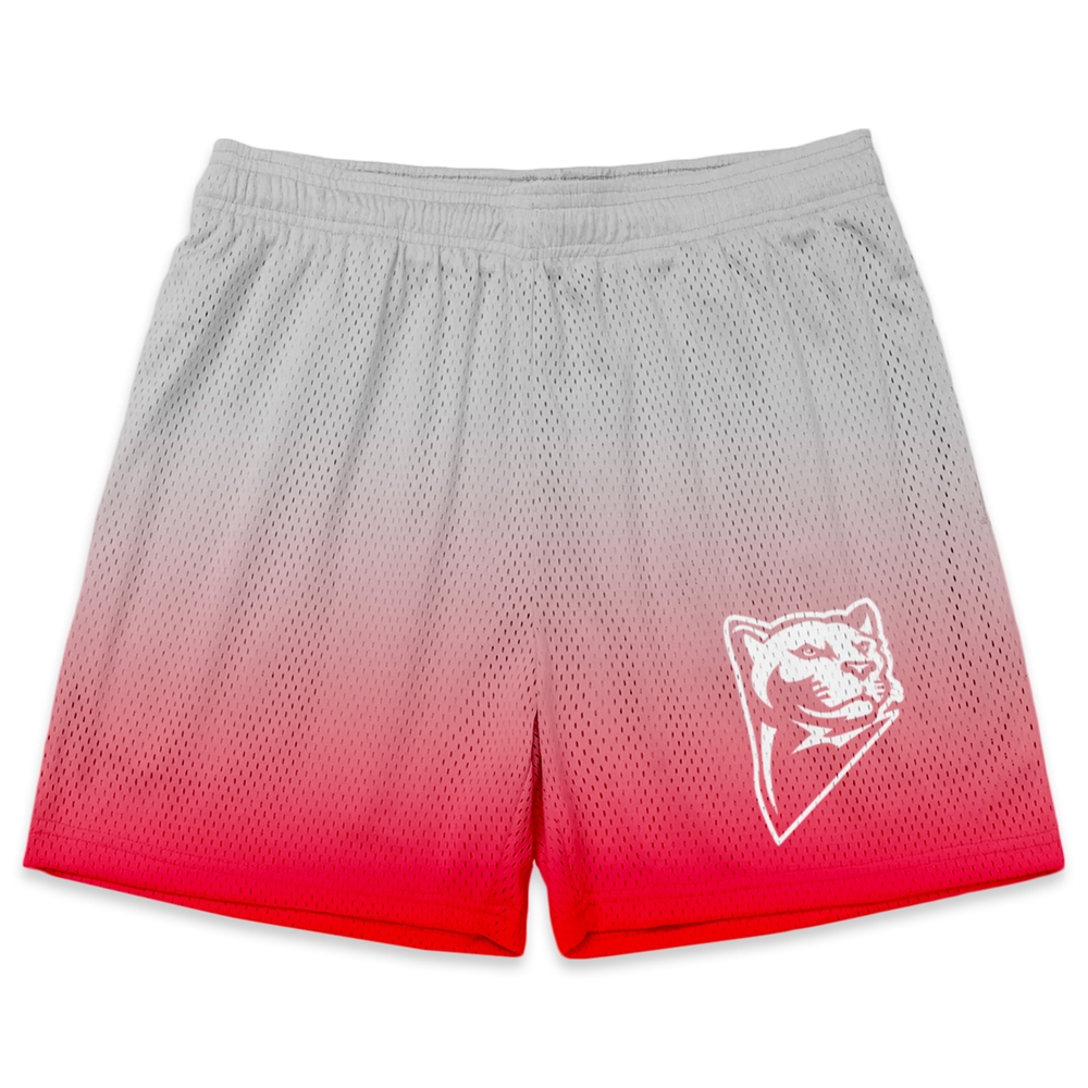 Athletic Camper Boys Mesh Shorts