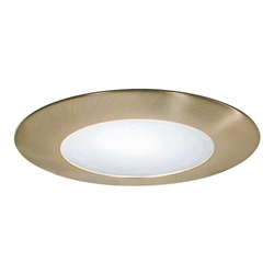 B501SN | 5" Shower Trim - Albalite Lens | USALight.com