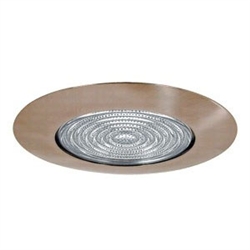 B505BZ | 5" Shower Trim - Fresnel Lens | USALight.com