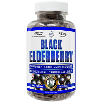 Black Elderberry