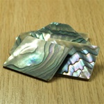 Green Abalone Shell Blanks