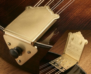 James Mandolin Tailpiece