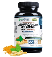 Advanced Night-Time PM - Anxiety and Stress Support with Ashwaganda, L-Theanine and Chamomile