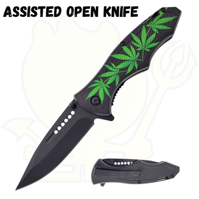 AO312 1973GM Assisted Open Knife