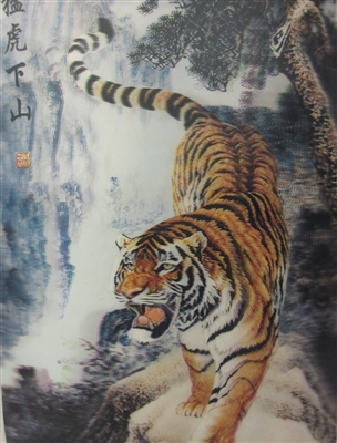 286 3D Lenticular Picture Orange Tiger Walking 2a2514