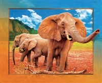 3d lenticular picture