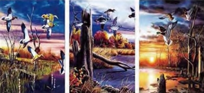 1084 3D Lenticular Picture Ducks