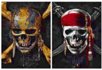 1084A 5D 30x40cm Flip Pirate Skull
