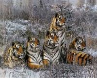 3d lenticular picture