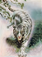 3d lenticular picture