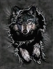 117 3D Lenticular Picture Wolf Ripped