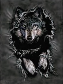 117 3D Lenticular Picture Wolf Ripped