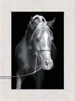 3d lenticular picture