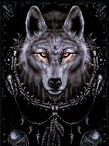 118 3D Lenticular Picture Wolf in Dream Catcher
