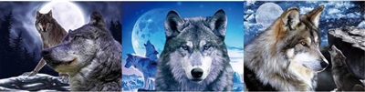 1085 3D Lenticular Picture Flip New Moon Wolf