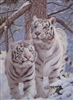 293 3D Lenticular Picture White Tigers