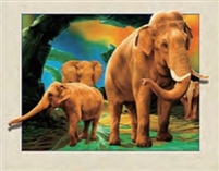 3d lenticular picture of wolf and girl