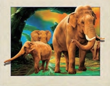 3d lenticular picture of wolf and girl
