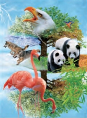 3d lenticular picture of wolf and girl