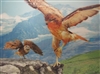 163 3d eagle with owl 2a2022