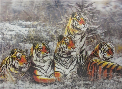 167 3d tigers in snow 2a2061